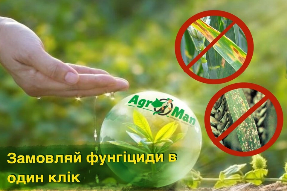 Високий врожай завдяки правильному використанню контактних та системних фунгіцидів