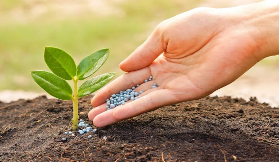 «Біодобрива та природний захист рослин — екологічний підхід до землеробства, здоровий ґрунт і сильні врожаї без хімії.